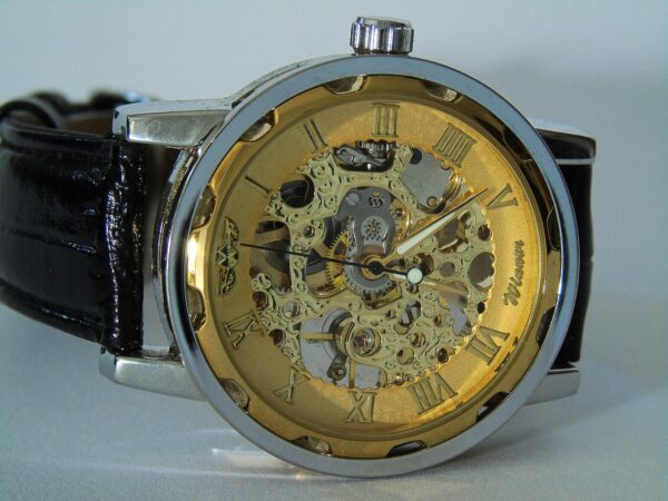 Mechanical Luxury Watch